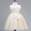 Lace Tulle Cute Flower Girl Dresses, Lovely Affordable Satin Top Little Girl Dresses,  FG035